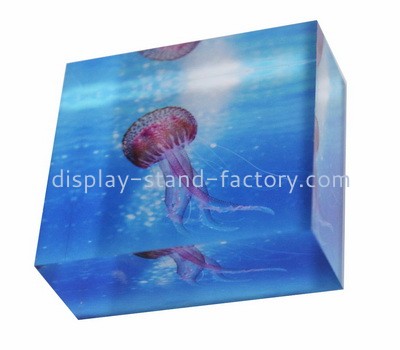 Custom plexiglass photo block NBL-083