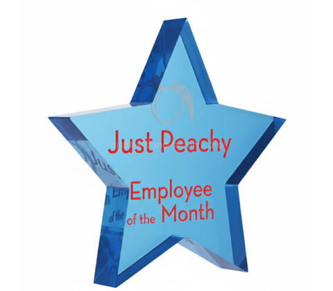 カスタムアクリル星型文鎮ギフトブロック