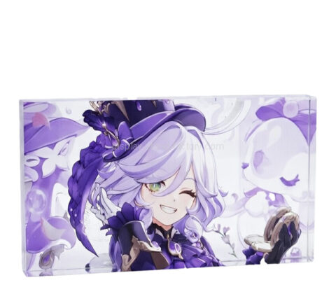 Custom acrylic UV printing brick