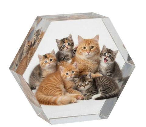 Custom acrylic hexagon photo block