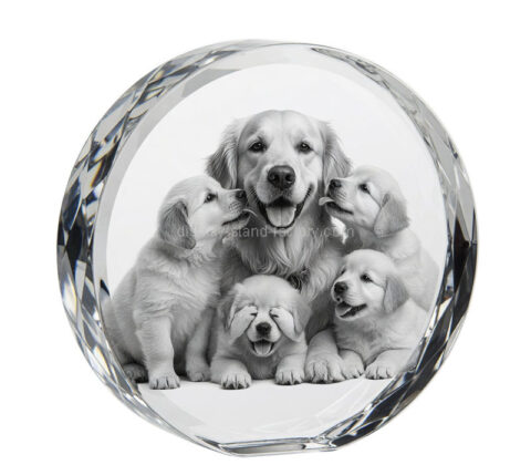 Custom acrylic round photo block