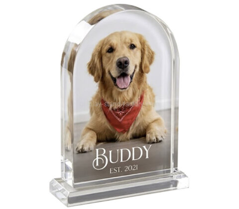 Custom top round acrylic buddy photo block